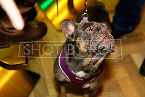 SHOT_BY_ROB-6247