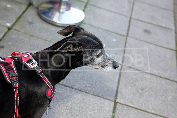 SHOT_BY_ROB-7221