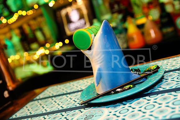 SHOT_BY_ROB-9730