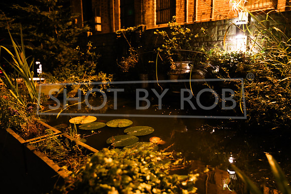 SHOT_BY_ROB-9354
