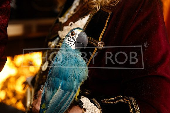SHOT_BY_ROB-2277