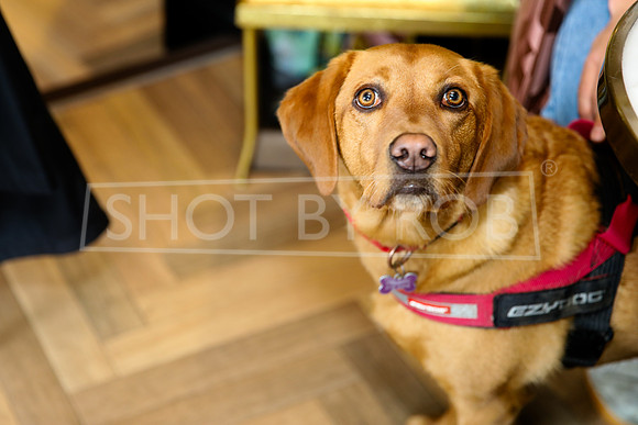 SHOT_BY_ROB-4365