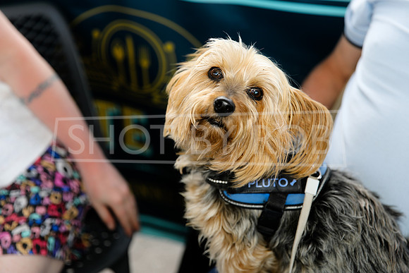 SHOT_BY_ROB-5402