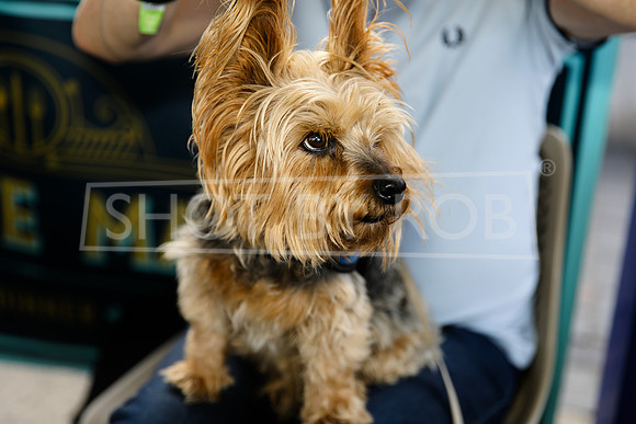 SHOT_BY_ROB-5405