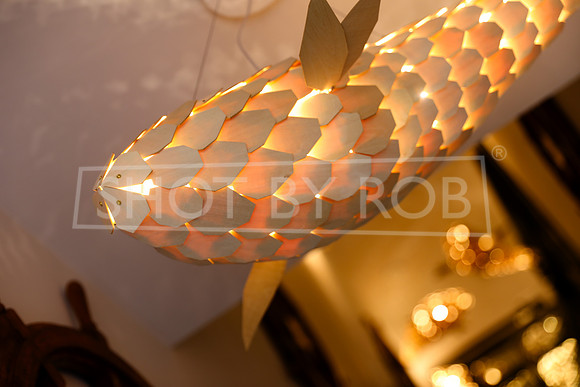 SHOT_BY_ROB-7082