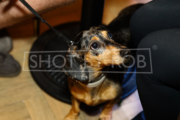 SHOT_BY_ROB-7795