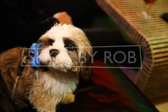 SHOT_BY_ROB-7926