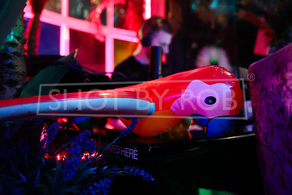 SHOT_BY_ROB-0241