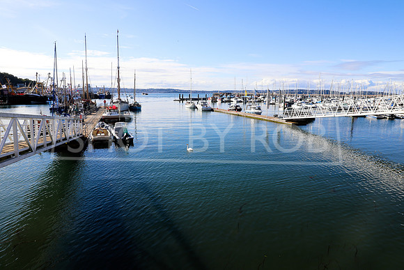 SHOT_BY_ROB-9876