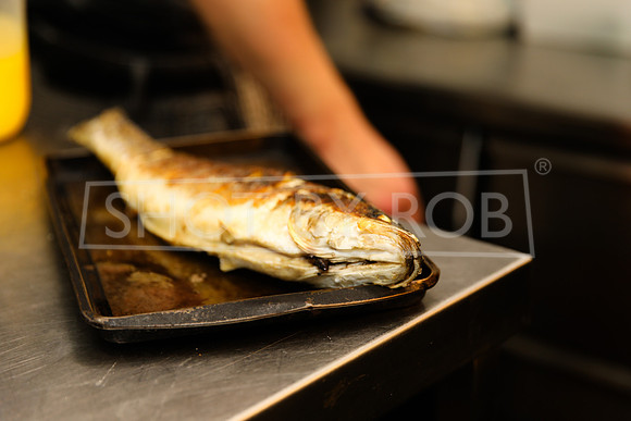 SHOT_BY_ROB-9927