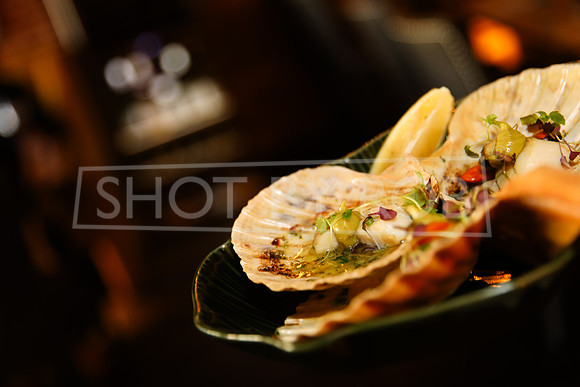 SHOT_BY_ROB-9940