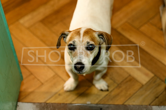 SHOT_BY_ROB-9832
