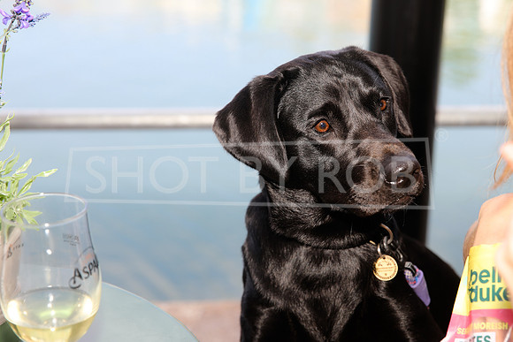 SHOT_BY_ROB-0728
