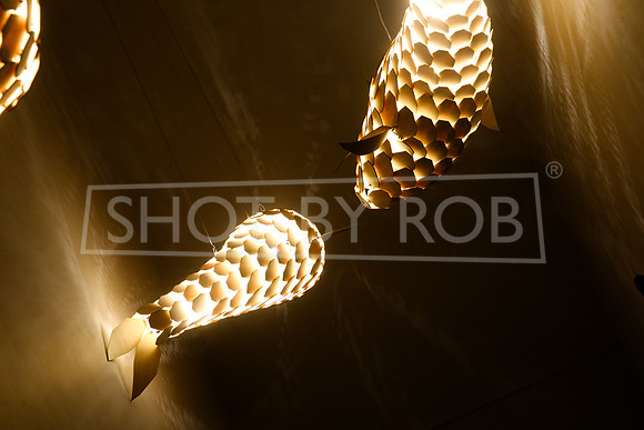 SHOT_BY_ROB-0806