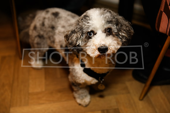 SHOT_BY_ROB-0547