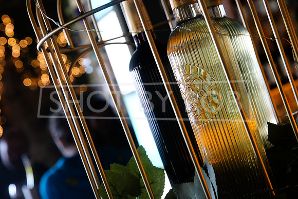 SHOT_BY_ROB-5859