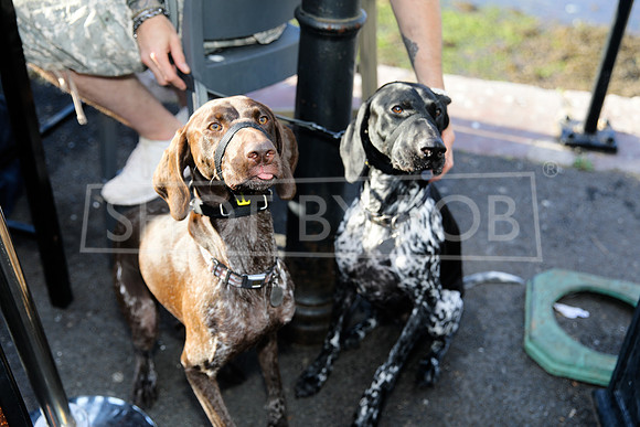 SHOT_BY_ROB-5839