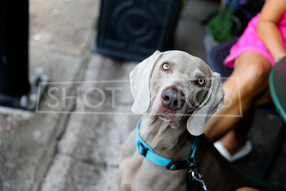 SHOT_BY_ROB-6317