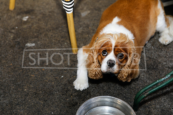 SHOT_BY_ROB-6328