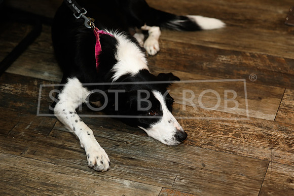 SHOT_BY_ROB-8147
