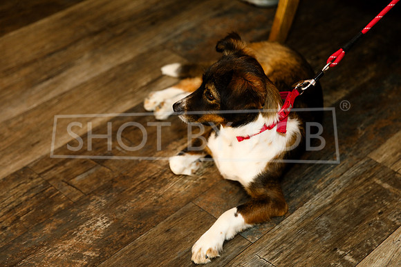 SHOT_BY_ROB-8158