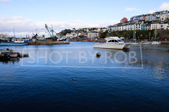 SHOT_BY_ROB-8124