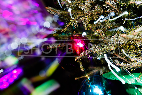SHOT_BY_ROB-8140