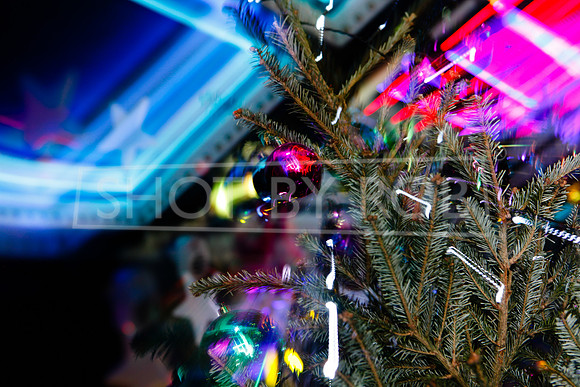 SHOT_BY_ROB-8286