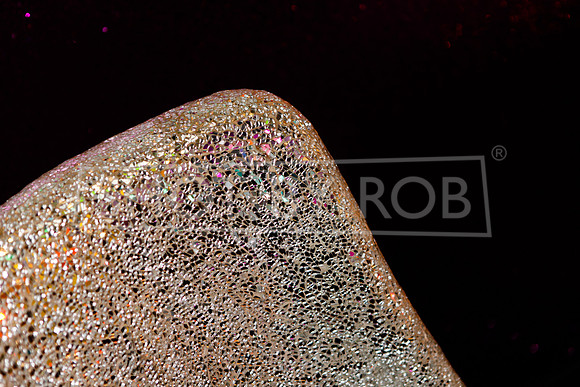 SHOT_BY_ROB-0287