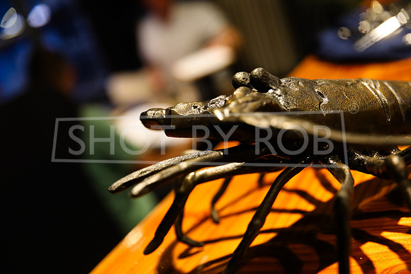 SHOT_BY_ROB-9655
