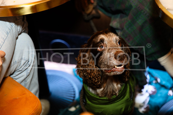 SHOT_BY_ROB-3236