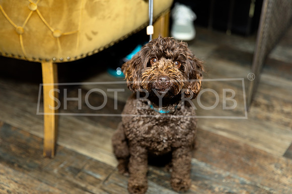 SHOT_BY_ROB-0204