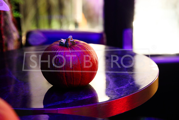 SHOT_BY_ROB-4560