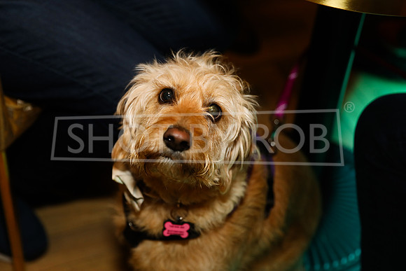 SHOT_BY_ROB-4020
