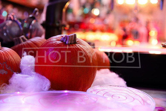 SHOT_BY_ROB-4888