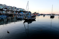 SHOT_BY_ROB-7721