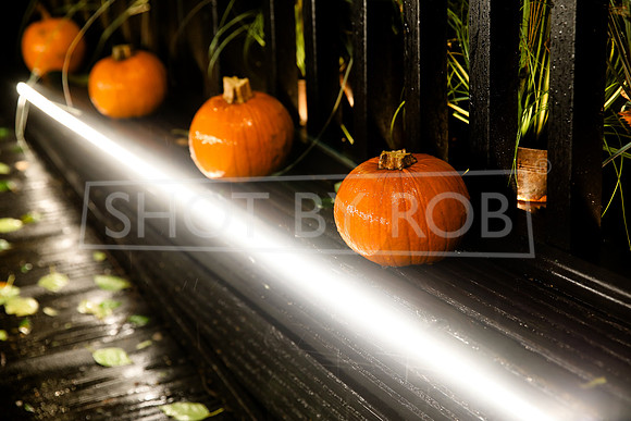 SHOT_BY_ROB-4490