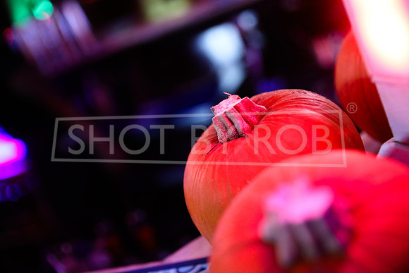 SHOT_BY_ROB-4442