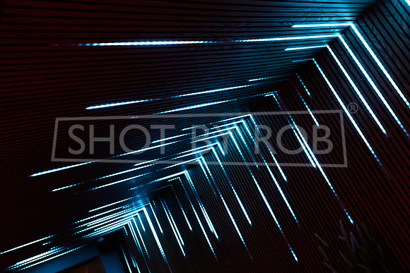 SHOT_BY_ROB-7728