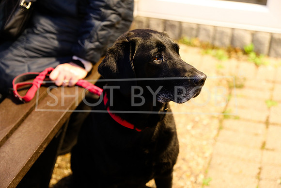 SHOT_BY_ROB-0220