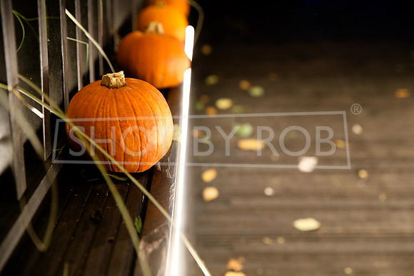 SHOT_BY_ROB-4924