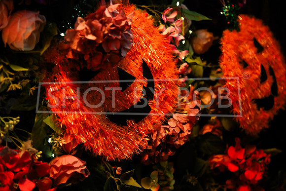 SHOT_BY_ROB-4113