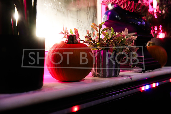 SHOT_BY_ROB-4494