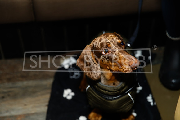 SHOT_BY_ROB-4176