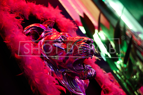 SHOT_BY_ROB-4499