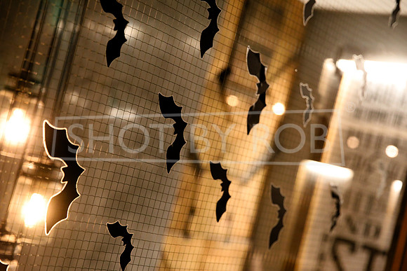 SHOT_BY_ROB-4426