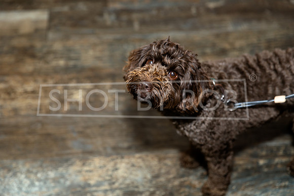 SHOT_BY_ROB-0213