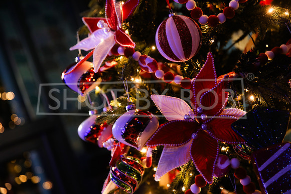 SHOT_BY_ROB-2109