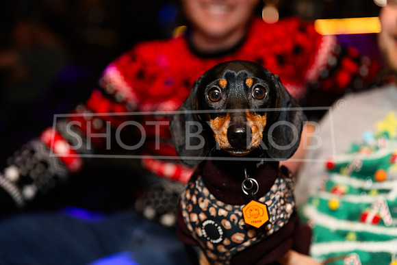 SHOT_BY_ROB-2071
