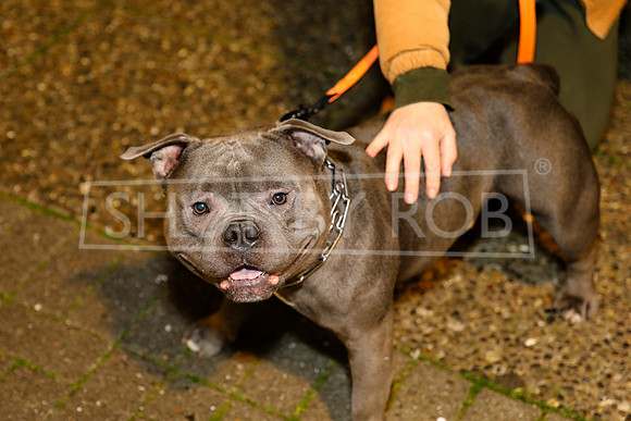 SHOT_BY_ROB-4096